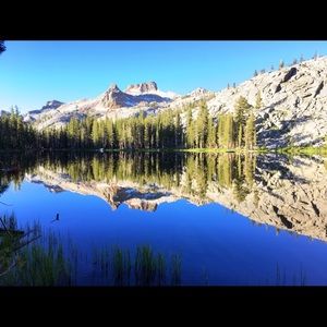 Meet your Posher, Robert